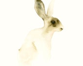 Animal Artwork Hare Fine Art Animal Print from Original Watercolor