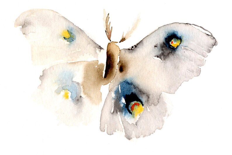 Moth Fine Art Print from Original Watercolor Painting