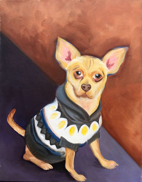 Sweater Dog