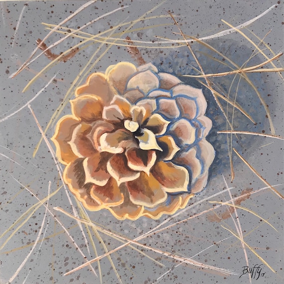 Pine Cone