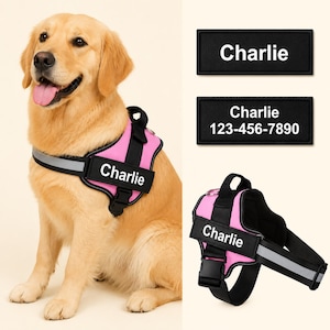 以下が含まれることがあります： ピンクと黒のハーネスをつけたゴールデンレトリバー。ハーネスには「Charlie」という名前が書かれています。反射ストリップが付いています。名前「Charlie」と電話番号が書かれた黒いネームパッチも2つ表示されています。