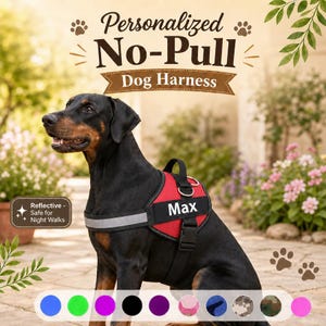 May include: A black and tan dog wearing a red and black no-pull harness with the name Max printed on a side patch. The harness features a reflective strip, a top handle, and metal D-rings. Text above reads Personalized No-Pull Dog Harness.