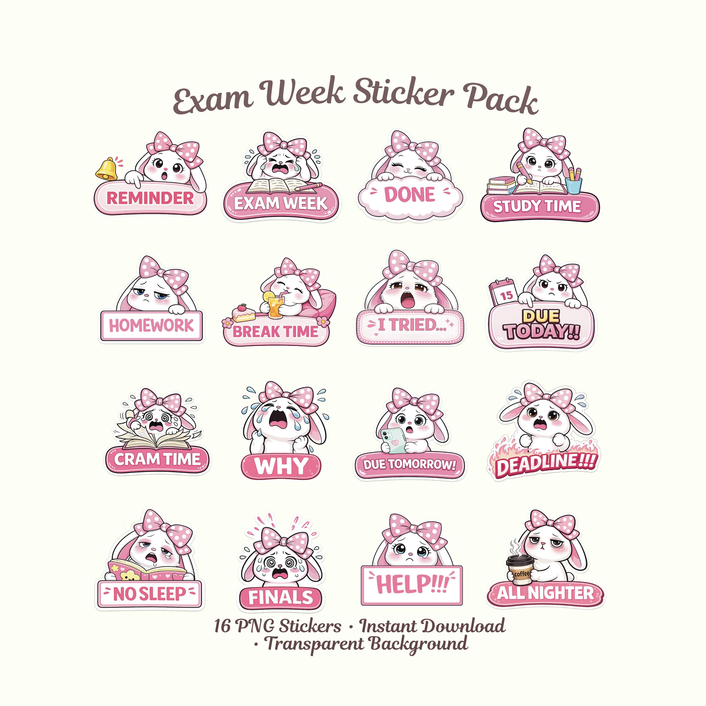 Example Exam Question Sticker Exam Week Sticker Pack | 16 Cute Study Stickers | Student Life, Finals ...