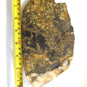 May include: A rough-edged, irregularly shaped rock with a mix of dark brown, gold, and black colors. A yellow measuring tape shows the rock is approximately 8 inches long. The bottom edge has a white, crystalline appearance.
