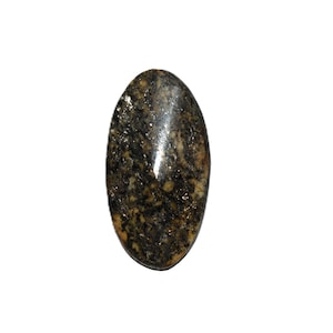 以下が含まれることがあります： 磨かれた表面を持つ楕円形の宝石。石は濃い灰色、黒、金色の色が混ざり合い、まだら模様を作り出しています。宝石は白い背景に配置されています。