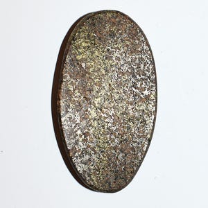 May include: An oval-shaped stone with a textured surface. The stone features a mix of brown, gold, and silver tones, creating a speckled appearance. The edges are rounded, and the overall shape is elongated.