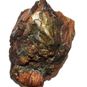 May include: A raw mineral specimen featuring a rough, irregular shape with a combination of deep brown, earthy tones and metallic, brassy gold inclusions. The surface displays a varied, craggy texture with visible crystalline formations throughout.