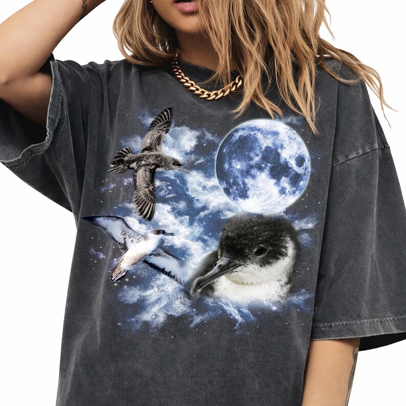 May include: Dark grey oversized t-shirt with a graphic of birds, a full moon, and clouds. The design includes a flying seagull, a bird with white and black wings, and a small black and white bird. The shirt has a vintage, washed appearance.
