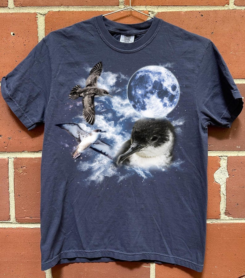 May include: Navy blue t-shirt with a graphic of birds, a full moon, and clouds. The design includes a flying bird, a bird with its wings spread, and a bird's head. The shirt is hanging on a metal hanger against a brick wall.