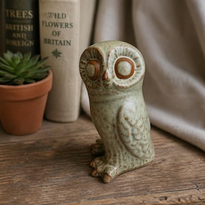 May include: A ceramic owl figurine in shades of green and brown. The owl has large, round eyes with brown accents and a textured surface. The figurine is standing on a wooden surface, with books and a small potted plant in the background.