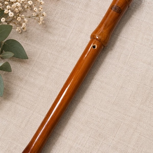 May include: A polished brown wooden recorder musical instrument featuring a smooth, glossy finish and a mouthpiece with the brand name MOLLER clearly printed in a black oval logo near the top section of the instrument body.