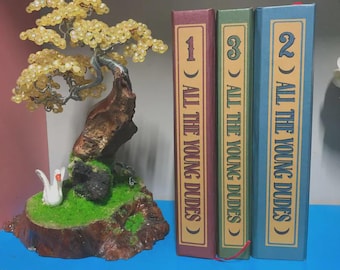 Colección completa de 3 volúmenes de la serie "All The Young Dudes" (Todas las novelas de los chicos jóvenes) en tapa dura.