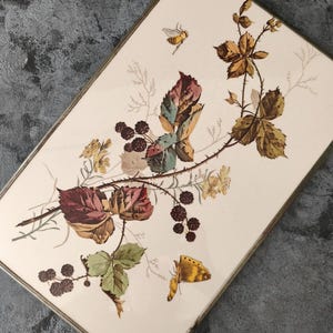 Puede incluir: Una impresión rectangular enmarcada que presenta una ilustración botánica de una rama de mora con bayas oscuras, hojas verdes y rojizas, y pequeñas flores amarillas. Una pequeña abeja aparece cerca de la parte superior y una mariposa amarilla abajo.