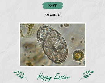 Funny Easter Cards Printable, Parasite Microscopy Card, Biology Humor Gift, Science Joke, Digital Download