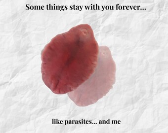 Funny Birthday Cards Printable Set of 5, Parasite Humor, Biology Gift, Science Joke Cards, Nerd Greeting Card Bundle, Digital Download