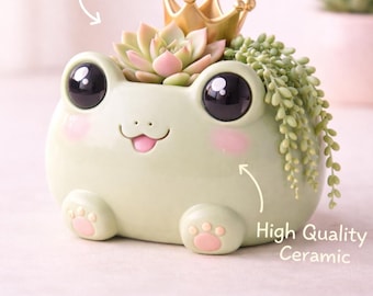 Vetplantenbak kikker STL | Kawaii pot met 3D-print (digitale download)