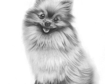 Dibujo de perro Pomerania, retrato realista de mascota, arte en grafito, arte mural imprimible, ilustración de perro Spitz