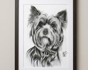 Realistic Yorkshire Terrier Printable Wall Art, Yorkie Dog Portrait Drawing, Dog Lover Gift, Digital Download