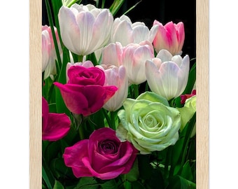 Pink Roses Tulips Floral Photography Print, Botanical Wall Art (Framed)