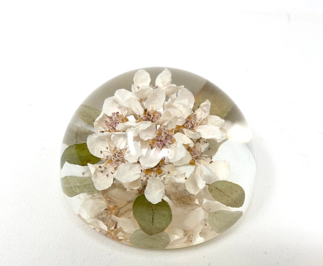 Vintage Lucite Plastic Paperweight With Flowers Inside Floral Etsy