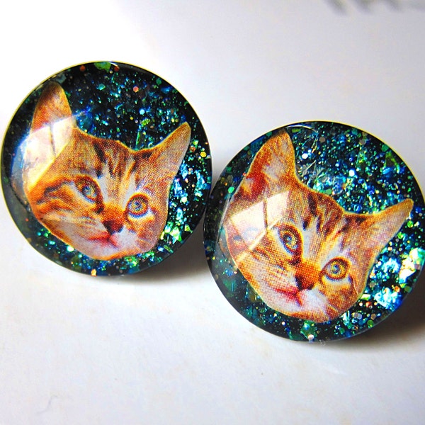 Weird Galaxy Space Cat earrings. Blue-green glitter on a black background. Intergalactic Overlords II - free shipping to USA