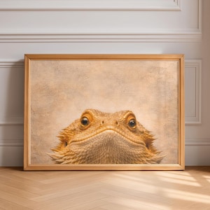 Op de afbeelding: Een ingelijste print met een close-up van een baardagaam. Het reptiel heeft een getextureerde, bruine huid, met een gedetailleerd gezicht en grote, donkere ogen. Het kunstwerk is geplaatst in een houten lijst tegen een neutrale achtergrond.