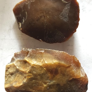 May include: Two polished, irregularly shaped stones with smooth, glossy surfaces. The top stone is a deep, translucent dark brown, while the bottom stone features a variegated pattern of golden-brown, tan, and amber hues with visible internal textures.