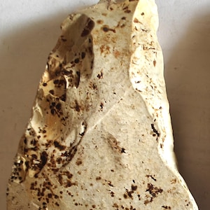 May include: A jagged, off-white stone fragment with a rough, uneven texture. The surface is covered in scattered, dark brown, irregular spots and speckles, with sharp, chipped edges along the side and a thick, weathered appearance throughout.