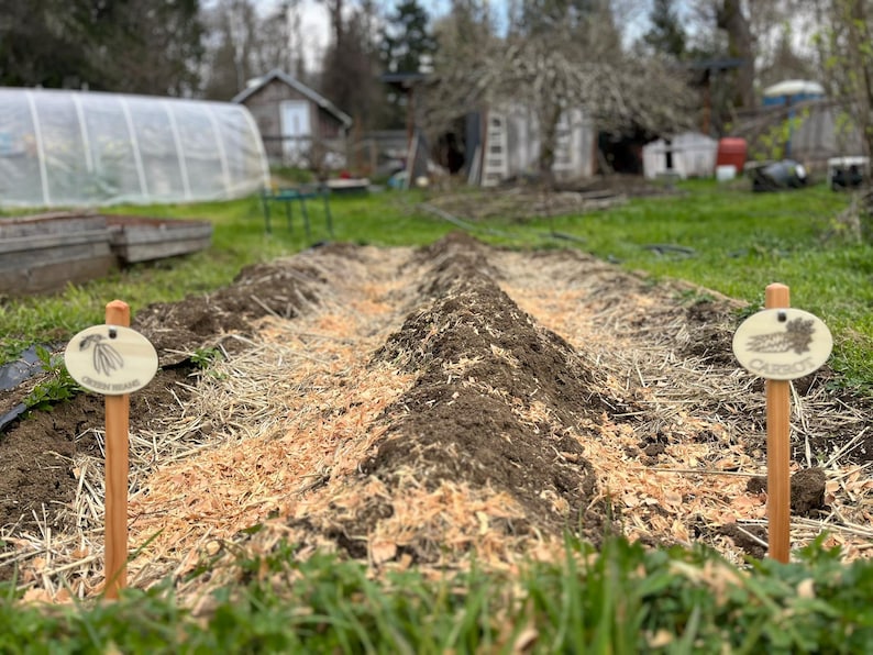 Reusable Garden Markers Set of 5 – Wooden Plant Labels ...