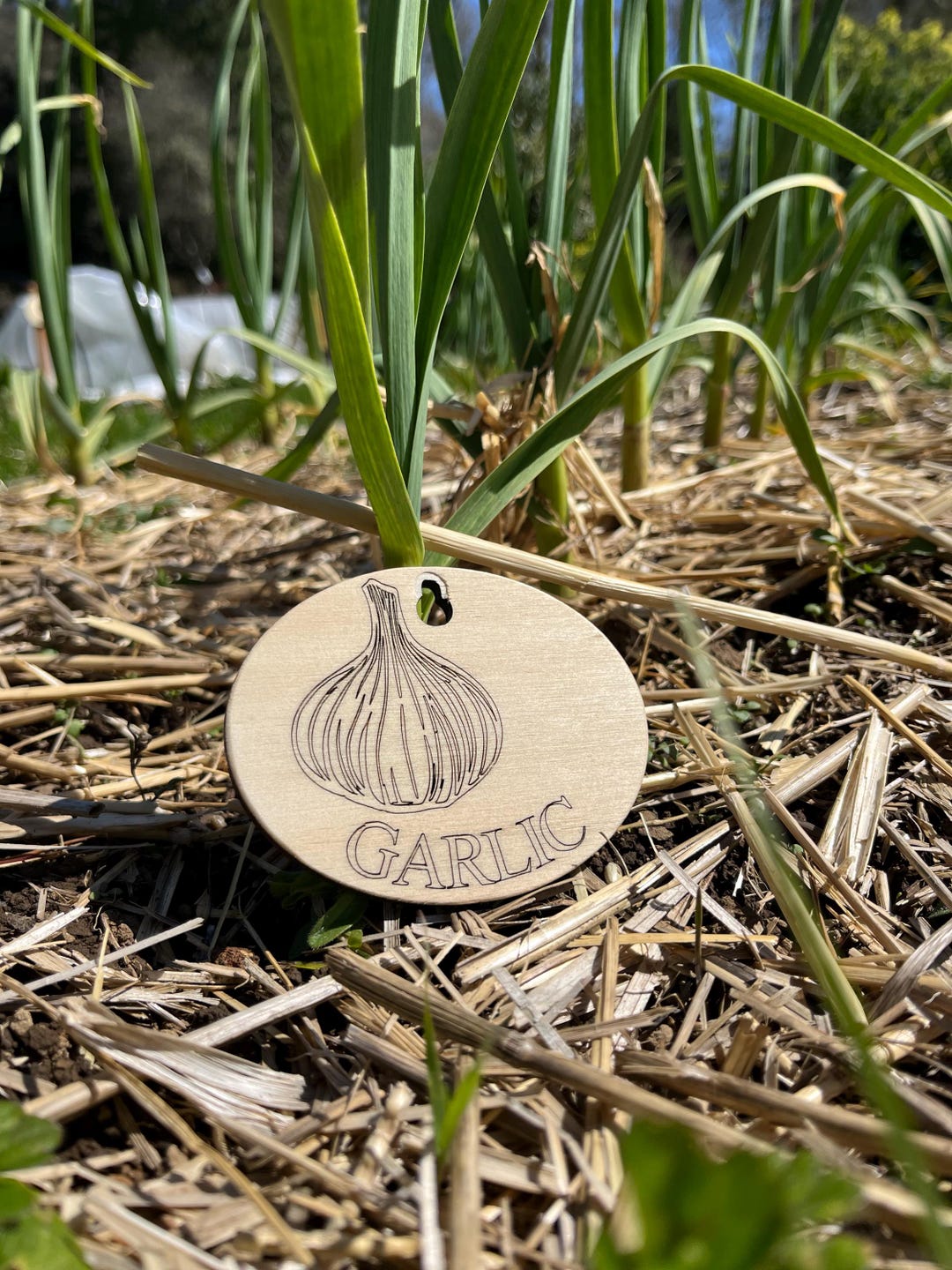 Swapped Labels Replacement Plant Marker Plaque | Swap Labels | Reusable Garden Marker ...