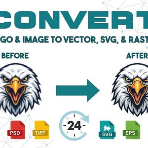May include: Image demonstrating logo and image conversion to vector, SVG, and raster formats. It shows a before-and-after comparison of an eagle head, along with file type icons and the word "CONVERT" in teal.