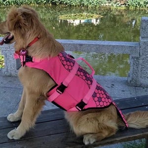May include: A golden retriever wearing a bright pink dog life vest with a purple scale pattern. The dog is sitting on a wooden bench near a body of water, with a red collar and black buckles on the vest.