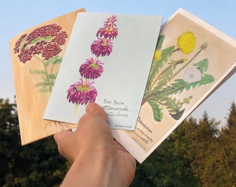 Flower Greeting Card 3 Pack Original Artwork Blank Card Blank Inside Artist Card Greeting Card Botanical Painting Illustration