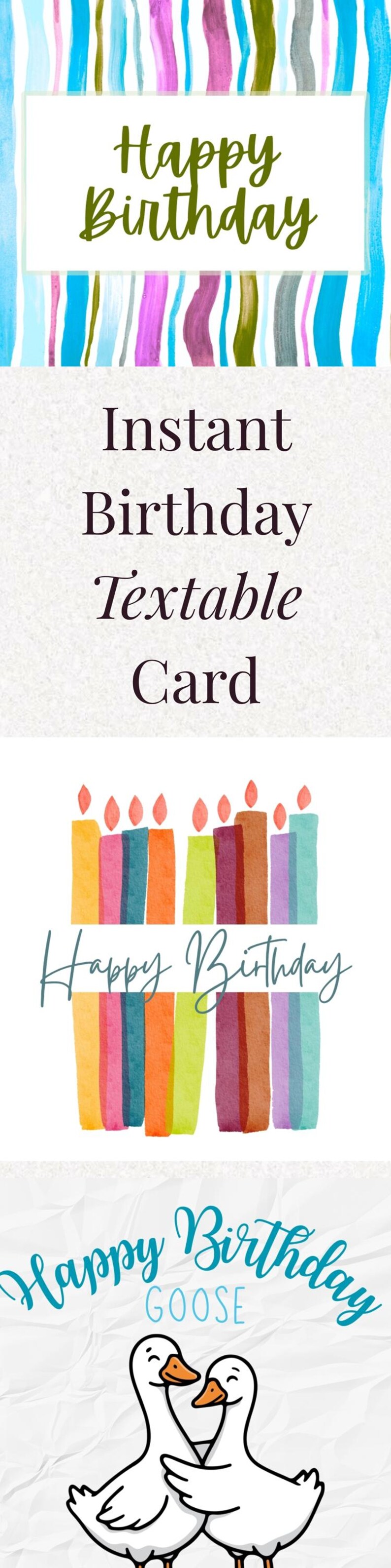Goose Birthday Card Textable Download Instant Digital Greeting File ...