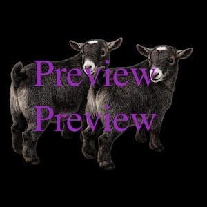 May include: Two young goats with dark grey fur stand side-by-side against a black background. Each goat has a white spot on its forehead and a white muzzle. The word "Preview" is written in purple over the image.
