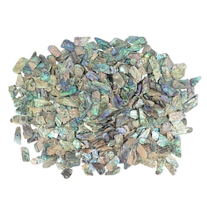 May include: A collection of iridescent abalone shell fragments in green, blue, and brown hues. The shells display a natural, textured finish and come in various sizes and shapes. Suitable for crafts or jewellery making.