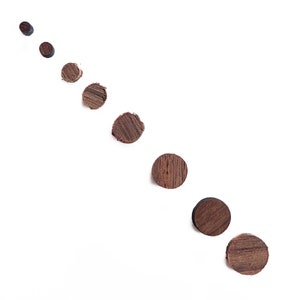 May include: A diagonal arrangement of eight small, round, wooden plugs against a white background. The plugs are a dark brown color, with visible wood grain. The sizes of the plugs vary slightly, creating a visual gradient.