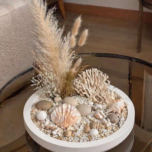Puede incluir: Un cuenco blanco decorativo lleno de arena, guijarros, conchas marinas y plantas secas. El arreglo incluye una gran concha de vieira, coral y hierbas altas y plumosas, creando un tema costero.