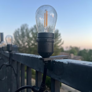 May include: A clear, teardrop-shaped light bulb with a visible filament is mounted on a black fixture. The bulb is attached to a black metal fence, with a blurred background of trees and a blue sky.