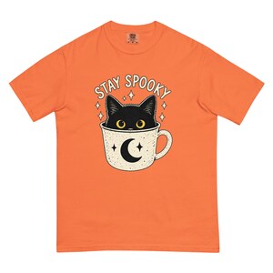 Stay Spooky Black Cat Shirt, Halloween Cat T-Shirt, Cute Gothic Cat Tee, Witchy Fall Shirt, Cat Lover Halloween Gift