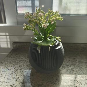 Geometric Spherical Planter with Striped Texture, Modern Minimalist Design 3D Printed Flower Pot for Cactus and Succulents, Anthracite Black