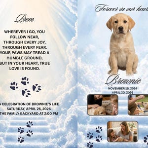 May include: A memorial card with a light blue sky background and a photo of a golden Labrador puppy. The card includes the text "Forever in our hearts" and a poem about love. The puppy's name is Brownie.