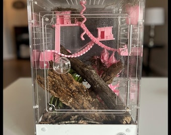 Custom jumping spider enclosure