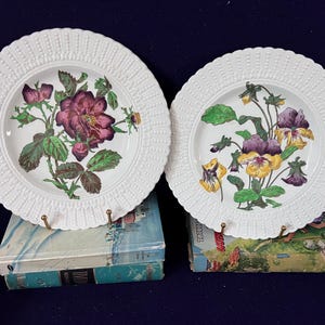 Puede incluir: Dos platos de cerámica blanca con un diseño de borde perlado. El plato izquierdo presenta una ilustración de una rosa de color púrpura oscuro con hojas verdes. El plato derecho muestra un grupo de flores de pensamiento amarillas y púrpuras.