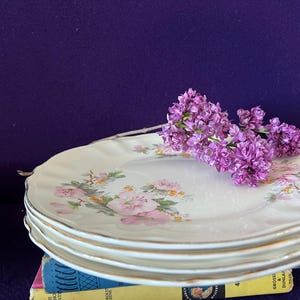 Może przedstawiać: Stos zabytkowych porcelanowych talerzy z kwiatowym wzorem i złotym obramowaniem. Gałązka fioletowych kwiatów bzu spoczywa na talerzach. Talerze są ułożone na stosie książek na fioletowym tle.