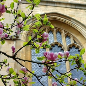 Canvas Oxford, Engeland, St. Mary&#39;s Church