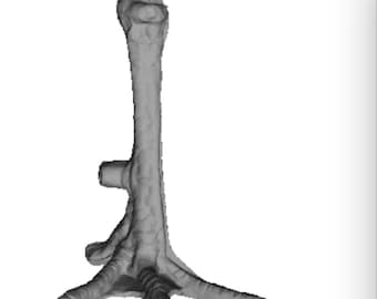 Pata De Plástico De Gallo/ Plastic Rooster Leg Model .STL Archivo de impresión 3D