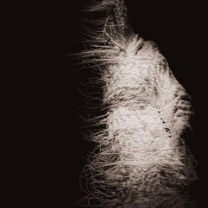 May include: A sepia-toned, textured, abstract sculpture against a dark background. The sculpture appears to be made of white, fibrous material, with strands extending outward. The lighting creates shadows and highlights the texture.