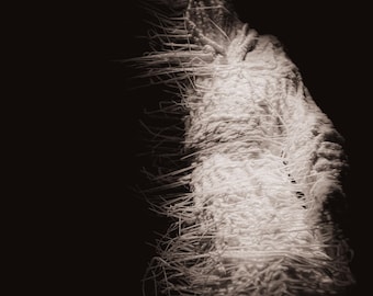 Cenotaph #10 - For Conlon Nancarrow - Framed Print, 11x14 with Black Frame and White Mat.