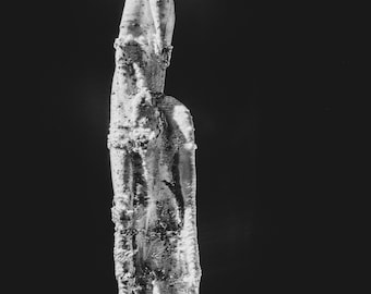 Cenotaph #8 - For Randy Rhodes - Framed Print, 11x14 with Black Frame and White Mat.